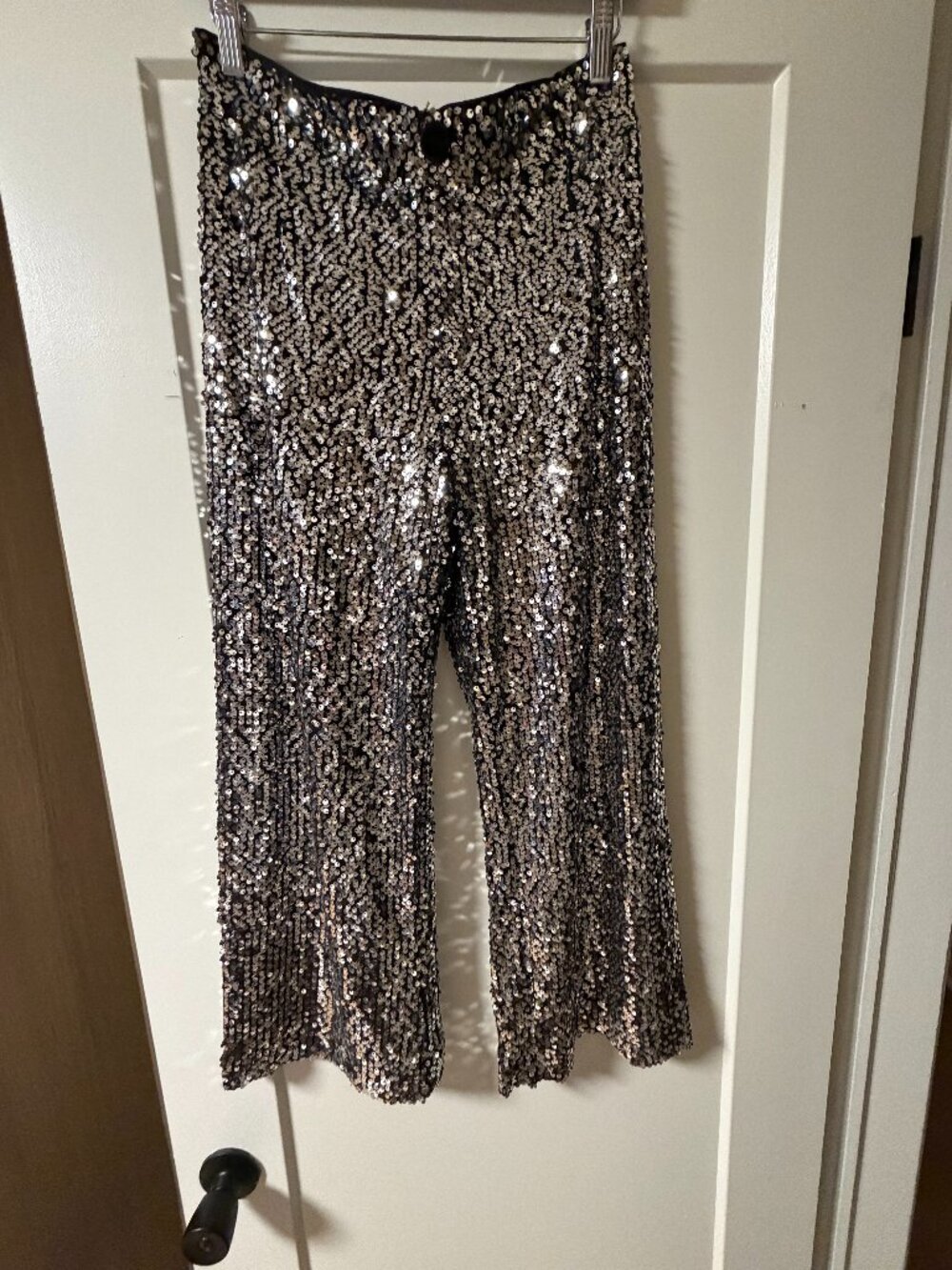 Anthropologie Maeve The Colette Sequin Wide Leg Pants Silver Size 27
